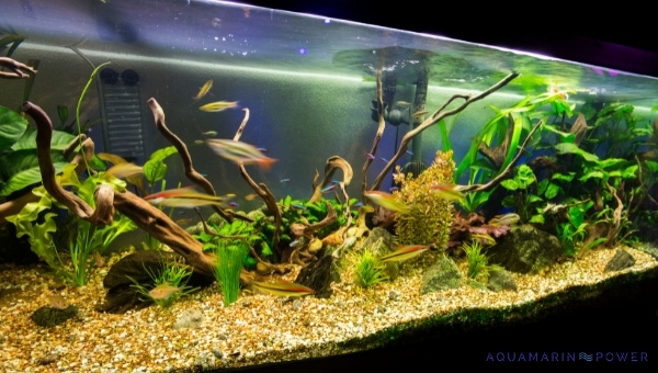 Fluval Stratum