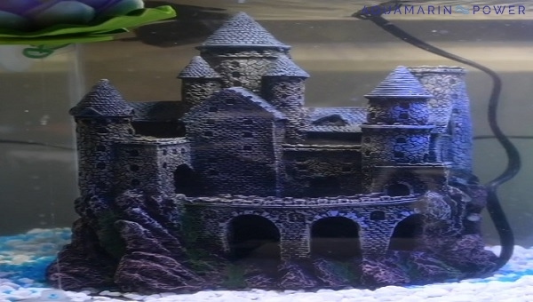 Paradise Fish The Penn Plax Castle