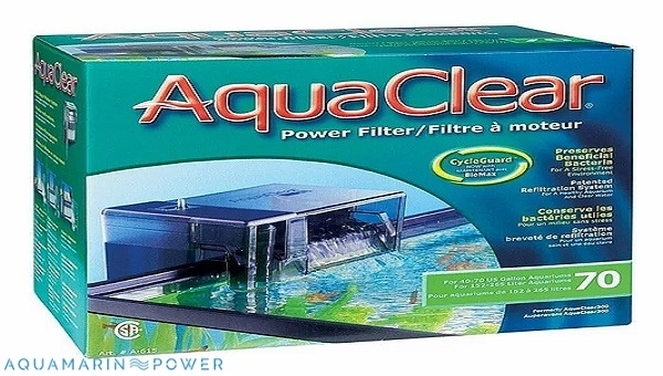 Clown Loach Aqua Clear 70