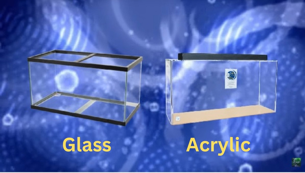 Plexiglass aquarium deals