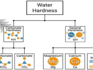 Manage Water chemistry