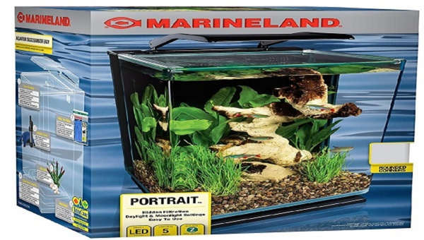 Marineland ML90609 Portrait Glass LED Aquarium Kit, 5 Gallons