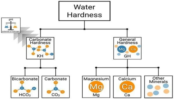 Mineral Content of My Aquarium Water