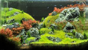 Paludarium