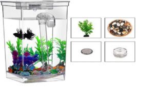 Self-Cleaning Fish Tanks