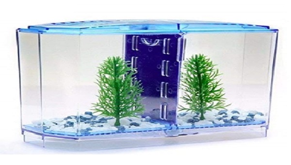 Acrylic Aquariums