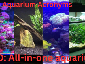 Aquarium Acronyms