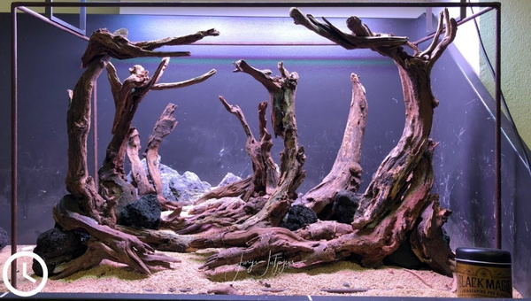 Driftwood