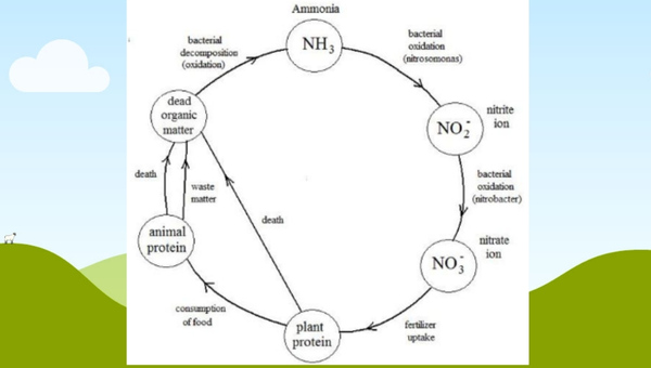 Time Duration Of This Entire Process