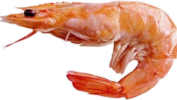 Wild-Caught Shrimp