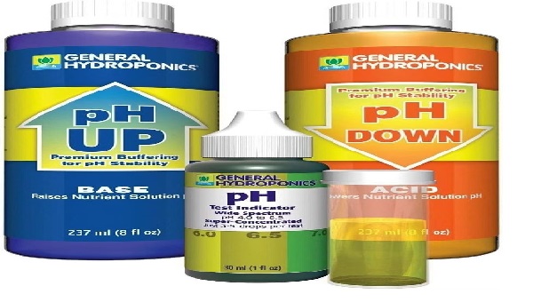 pH-Up Product