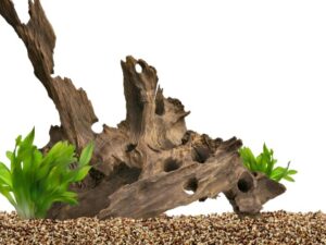 Driftwood