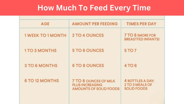 How Much To Feed Every Time