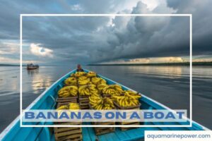 BANANAS ON A BOAT