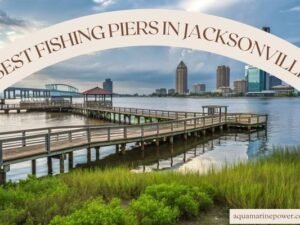 BEST FISHING PIERS IN JACKSONVILLE