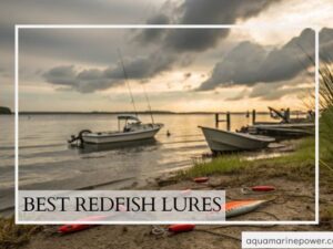BEST REDFISH LURES