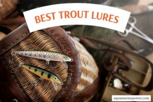 BEST TROUT LURES