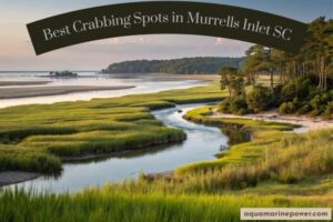 Best Crabbing Spots in Murrells Inlet SC