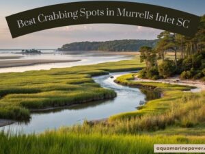 Best Crabbing Spots in Murrells Inlet SC