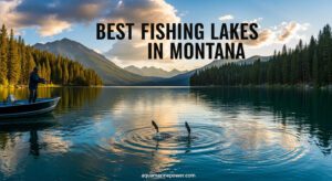 Best Fishing Lakes in Montana