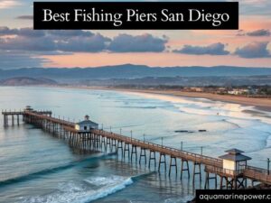 Best Fishing Piers San Diego