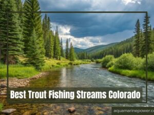 Best Trout Fishing Streams Colorado