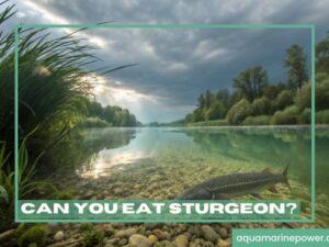 Can You Eat Sturgeon