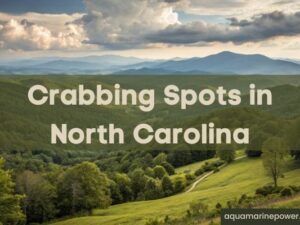 Crabbing spots in North Carolina