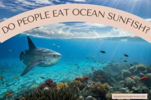 DO PEOPLE EAT OCEAN SUNFISH?