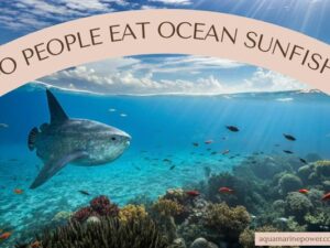 DO PEOPLE EAT OCEAN SUNFISH?