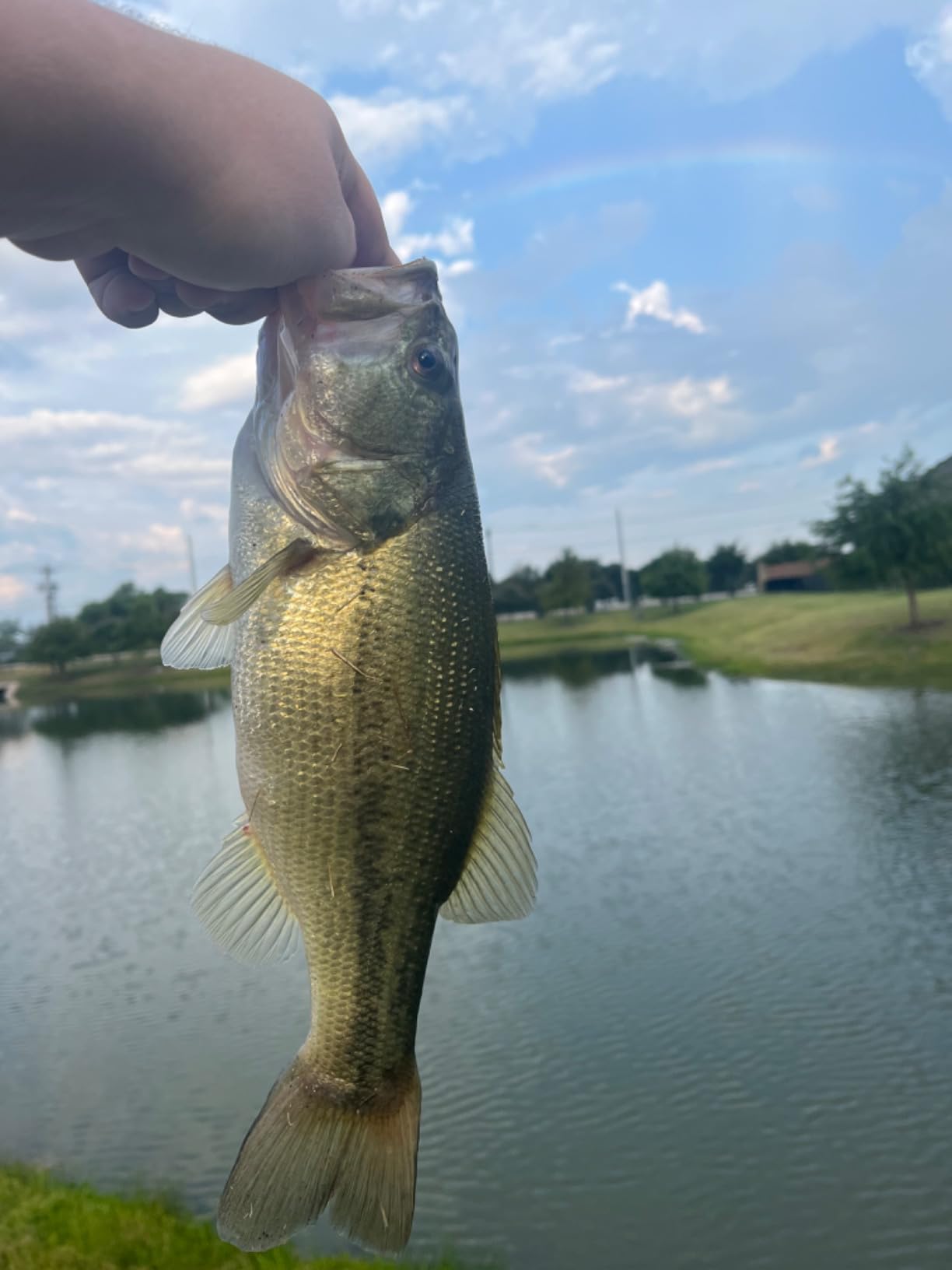 BOOYAH Boo Jig Bass Fishing Lure with Weed Guard - Customer Photo 1
