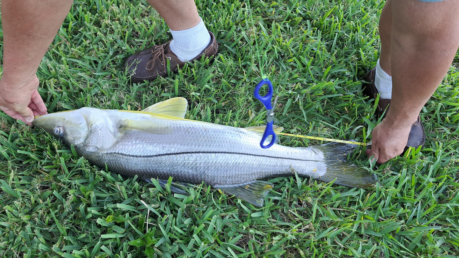 Image showcasing 12 Best Bass Fishing Lures 2026: Tournament-Proven Winners