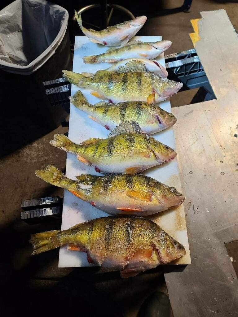 13 FISHING - Wicked - Spinning Ice Fishing Combos Customer Review 13 FISHING - Wicked - Spinning Ice Fishing Combos - Customer Photo 1