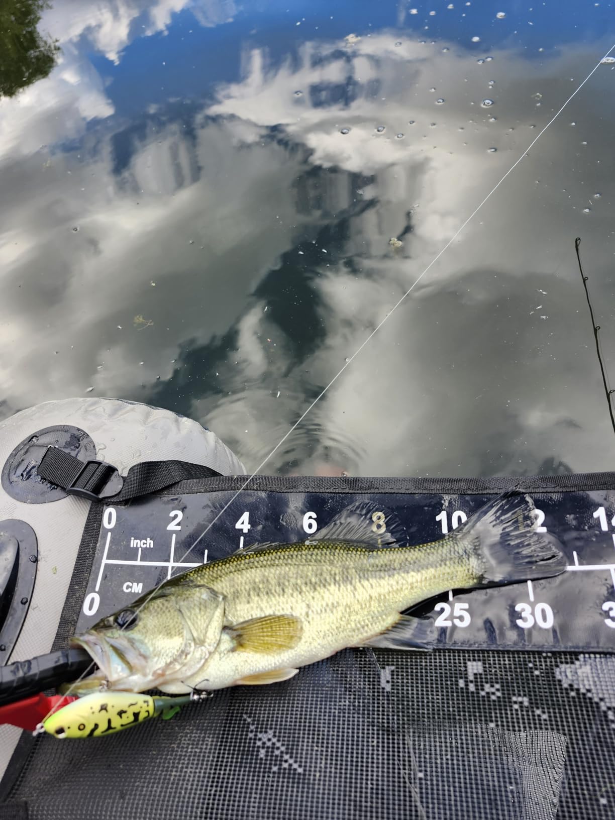 Berkley Choppo Topwater Fishing Lure - Bone, Size 90 customer photo 1