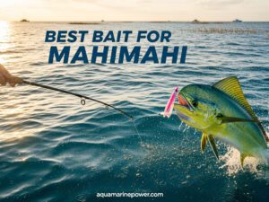 BEST BAIT FOR MAHIMAHI