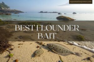 BEST FLOUNDER BAIT