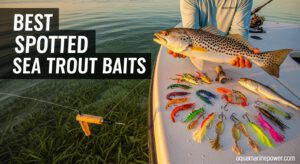 BEST SPOTTED SEA TROUT BAITS