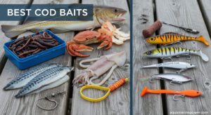 Best Cod Baits & Lures