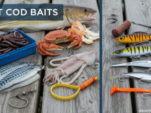 Best Cod Baits & Lures