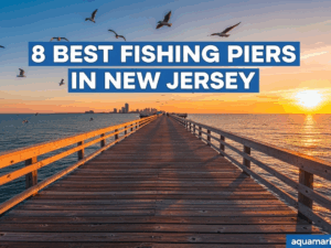 Best Fishing Piers in New Jersey