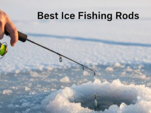 Best Ice Fishing Rods