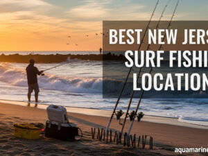 Best New Jersey Surf Fishing Locations