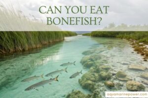 CAN YOU EAT BONEFISH?