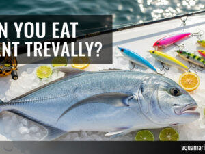 Can You Eat Giant Trevally