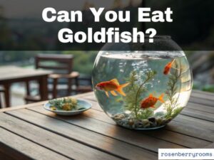 Do People Eat Goldfish