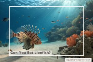 Can You Eat Lionfish?