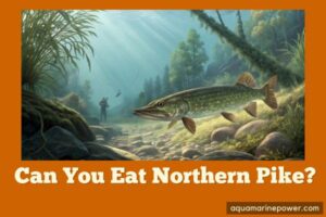 Can You Eat Northern Pike?