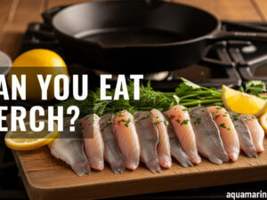 Can You Eat Perch