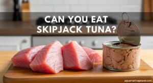 Can You Eat Skipjack Tuna