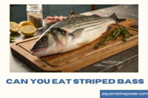 Can You Eat Striped Bass